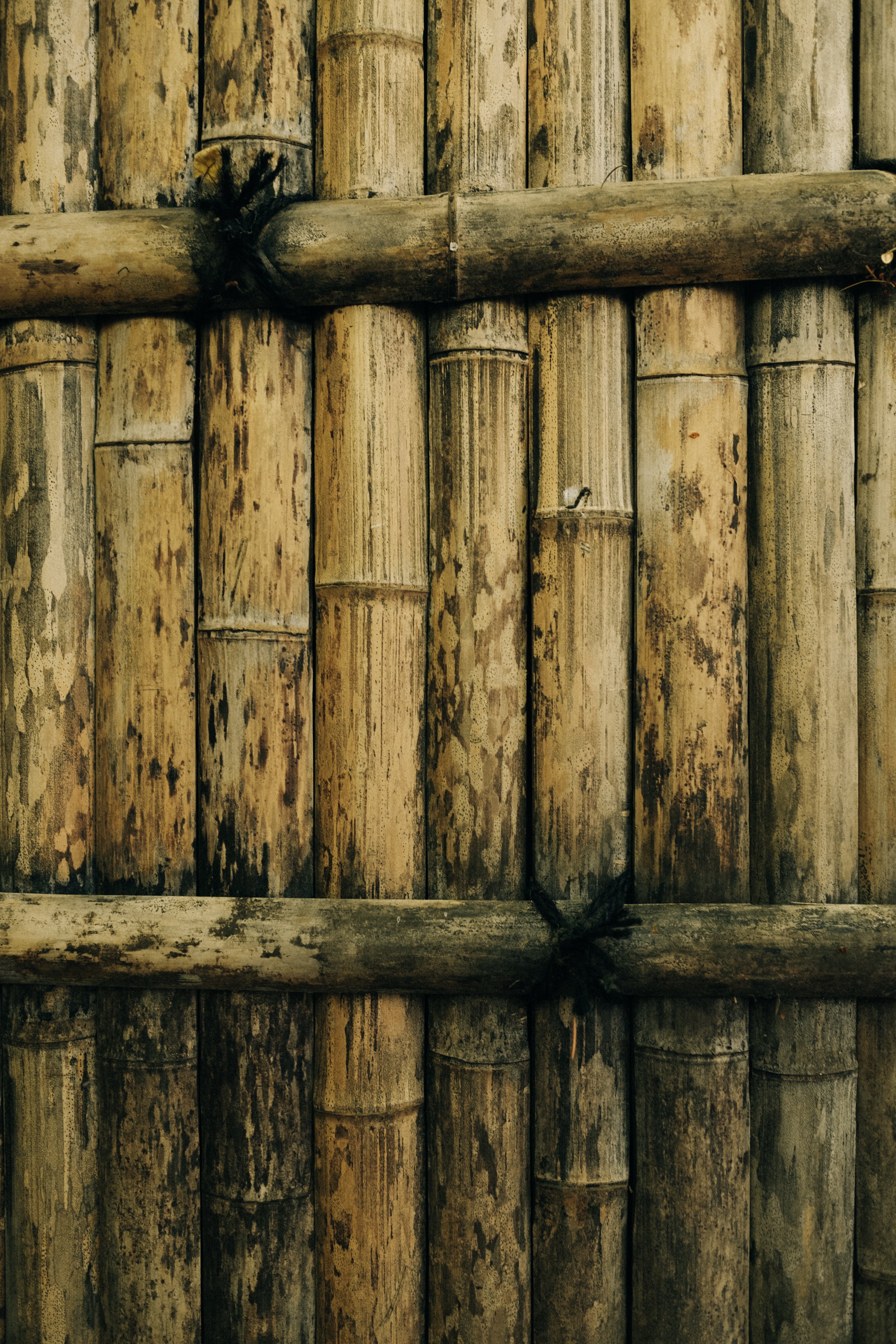 Bamboo textured wall detail close uo