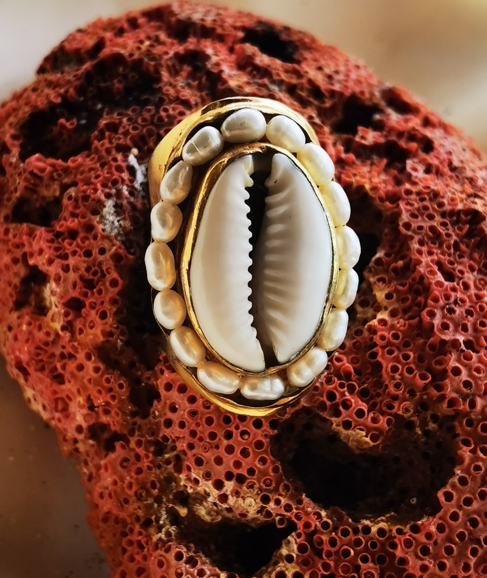 Gold ring with a shell design on a red coral background